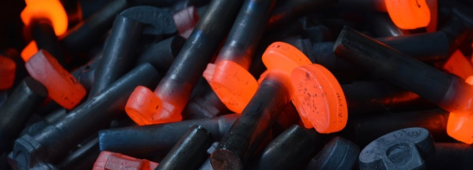 Carbon Steel Gr.A/Gr.B Fasteners Manufacturer