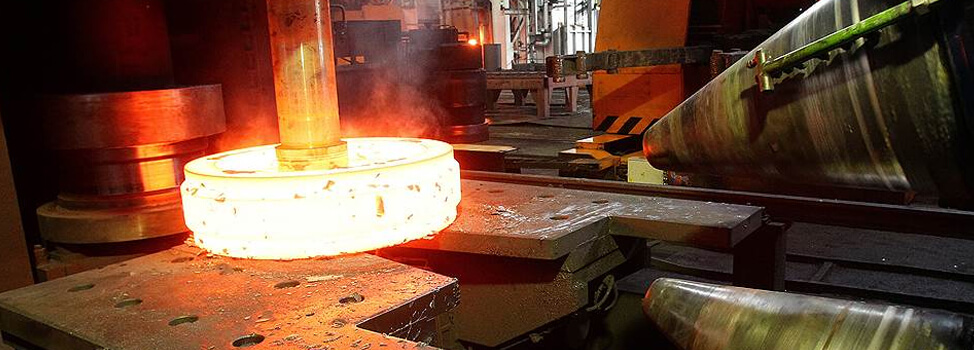 Hastelloy C22 Flanges Manufacturer
